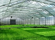 Satılır 10 otaqlı 12000 m2 obyekt Ləhic Bağları