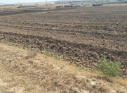 Satılır 132 sot torpaq Qusar