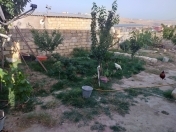 Satılır 2 otaqlı 32 m2 həyət evi Sulutəpə