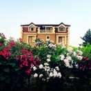 Satılır 6 otaqlı 330 m2 bağ evi Albalı