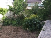 İcarəyə verilir 4 otaqlı 150 m2 həyət evi Badamdar
