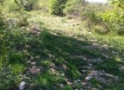 Satılır 16 sot torpaq Quba