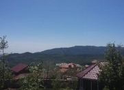 Satılır 48 sot torpaq Şamaxı