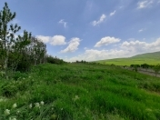 Satılır 24 sot torpaq İsmayıllı