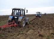 Satılır 10000 sot torpaq Salyan