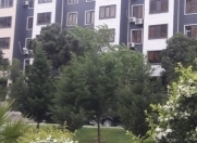 Satılır 2 otaqlı 50 m2 köhnə tikili İnşaatçılar m.
