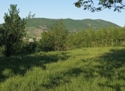 Satılır 80 sot torpaq Quba