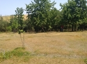 Satılır 13 sot torpaq Qusar