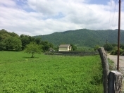 Satılır 8 sot torpaq Zaqatala