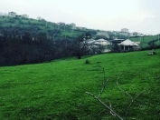 Satılır 10 sot torpaq Siyəzən