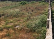 Satılır 12 sot torpaq Buzovna