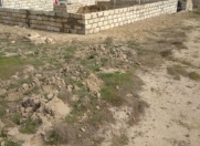 Satılır 3 otaqlı 0 m2 həyət evi Saray
