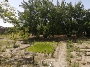 Satılır 28 sot torpaq Sumqayıt