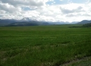 Satılır 33 sot torpaq Göygöl