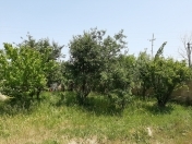 Satılır 4 sot torpaq Sumqayıt