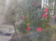 Satılır 3 otaqlı 70 m2 həyət evi Xırdalan