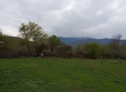 Satılır 12 sot torpaq Quba