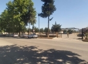 Satılır 64 sot torpaq Masallı