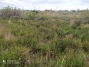 Satılır 5 sot torpaq Sumqayıt