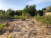 Satılır 11 sot torpaq Sumqayıt