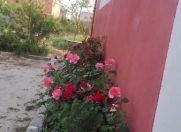 Satılır 5 otaqlı 290 m2 həyət evi Qara Qarayev m.