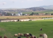 Satılır 400 sot torpaq Qobustan