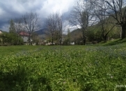 Satılır 12 sot torpaq İsmayıllı