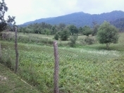 Satılır 50 sot torpaq Quba