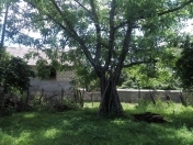 Satılır 10 sot torpaq Zaqatala