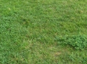 Satılır 16 sot torpaq Qəbələ