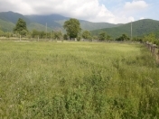 Satılır 12 sot torpaq Qax