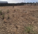 Satılır 11.8 sot torpaq Buzovna