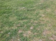 Satılır 70 sot torpaq Xəzər r.