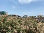 Satılır 12 sot torpaq Mərdəkan