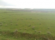 Satılır 54 sot torpaq Mehdiabad