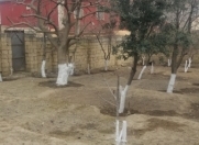 Satılır 10 sot torpaq Sumqayıt