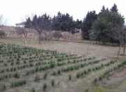 Satılır 60 sot torpaq Bilgəh