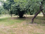 Satılır 10 sot torpaq Qəbələ