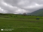 Satılır 24 sot torpaq Şamaxı