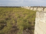 Satılır 10 sot torpaq Binə