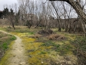 Satılır 7 sot torpaq Həzi Aslanov