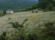 Satılır 12 sot torpaq Quba