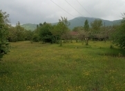 Satılır 20 sot torpaq Qəbələ