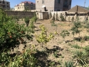 Satılır 3 sot torpaq Masazır