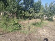 Satılır 7 sot torpaq Buzovna