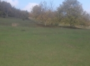 Satılır 344 sot torpaq Quba