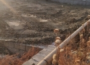 Satılır 7.5 sot torpaq Masazır