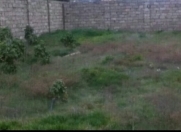 Satılır 3 sot torpaq Y.Ramana