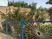 Satılır 5 otaqlı 140 m2 həyət evi Y.Ramana