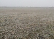 Satılır 2 sot torpaq Qusar